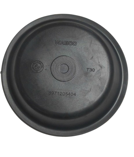 Da búp sen 1,8 tấc TKL