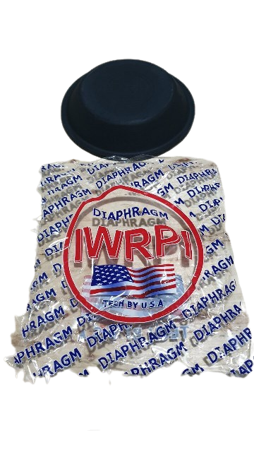 Da búp sen BPW